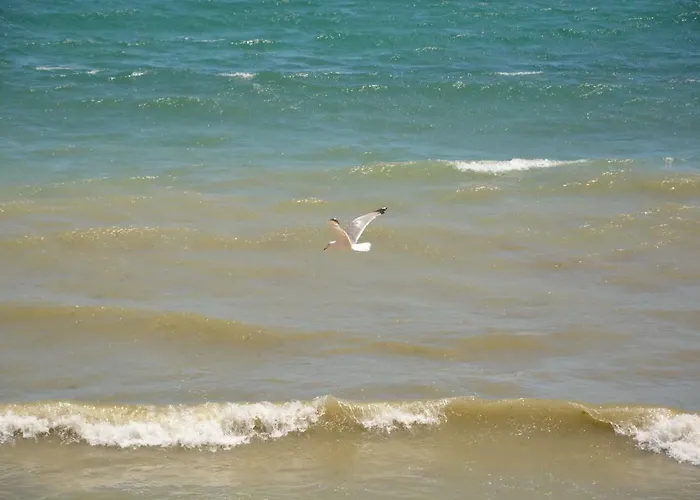 Menada Atrium Apartamento